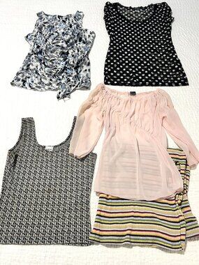 Women's Tops Lot of 4 and 1 Skirt, Muti-colored, Most Size Small